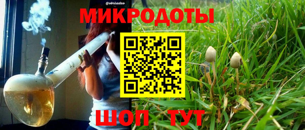 Лыткарино  Псилоцибиновые грибы GOLDEN TEACHER  где купить наркоту  Вход с VPN 